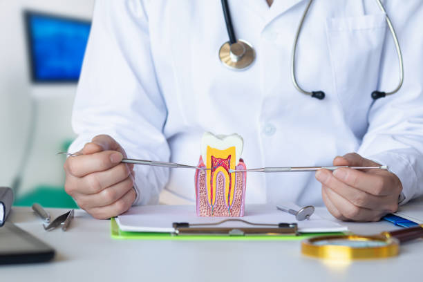 Best Pediatric Emergency Dentist in Boonton, NJ